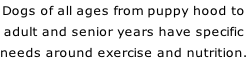 Dogs of all ages from puppy hood to adult and senior years have specific needs around exercise and nutrition.